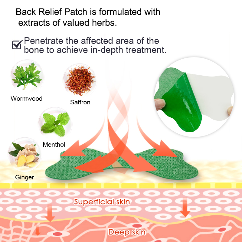 12/48PCS Waist Hot Compress Di - đánh giá và giá Skincare Herbal
